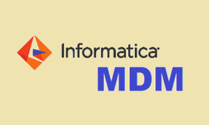 informatica mdm training